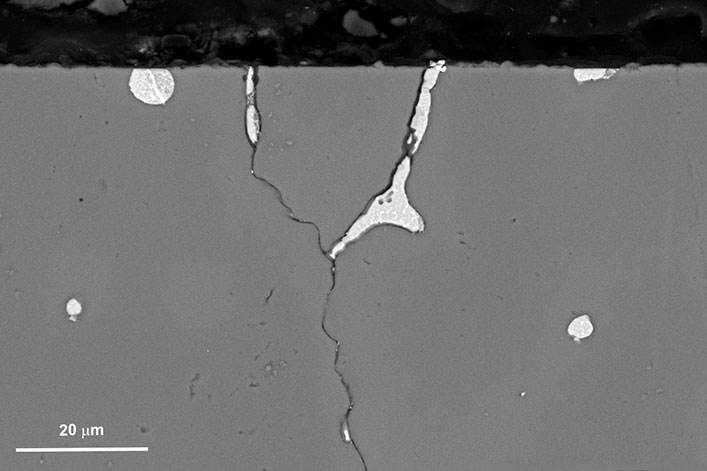 SEM image from Shabnam Pournazari's PhD thesis. This cross-sectional image shows the intergranular corrosion of Al alloy in a NaCl solution.